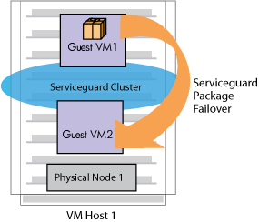Guest Application Failover to Another Guest on the Same VM Host