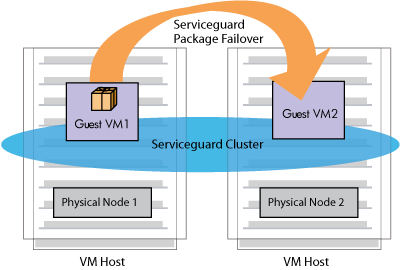 Guest Application Failover to a Guest on a Different VM Host