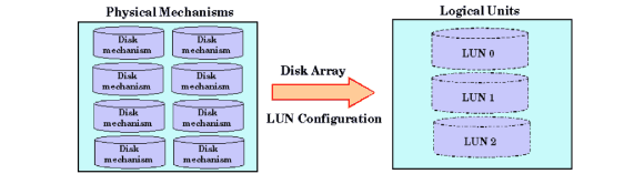 Physical Disks Combined into LUNs
