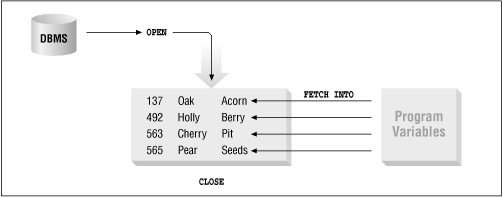  Chapter 6 6 2 Cursors In PL SQL